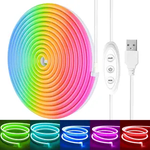 LED Neon Strip Light RGB, 5V USB Bluetooth LED Rope Lihgts for Wall, Outdoor Light Strip, App Control, Music Sync, Great for Playroom Holiday Party Christmas,Halloween Decoration ( Bluetoothe)
