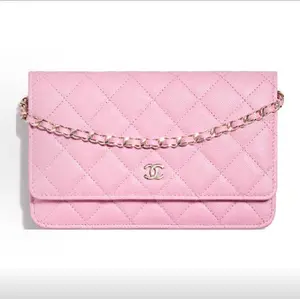 Pre-owned CHANEL Classic Quilted Caviar Leather Wallet on Chain (WOC) with Light Gold Hardware & Leather Woven Chain Strap