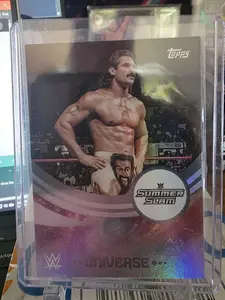 2025 WWE Universe rip commons