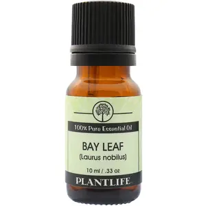 Plantlife Bay Leaf Essential Oil – Pure, Steam‑Distilled Aromatic Oil for Hair, Scalp, and Massage Blends