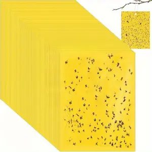 15Cm * 10cm yellow double-sided armyworm mesh -------- suitable for kitchen, plants and trees and other areas