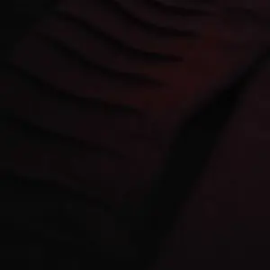 review image 11