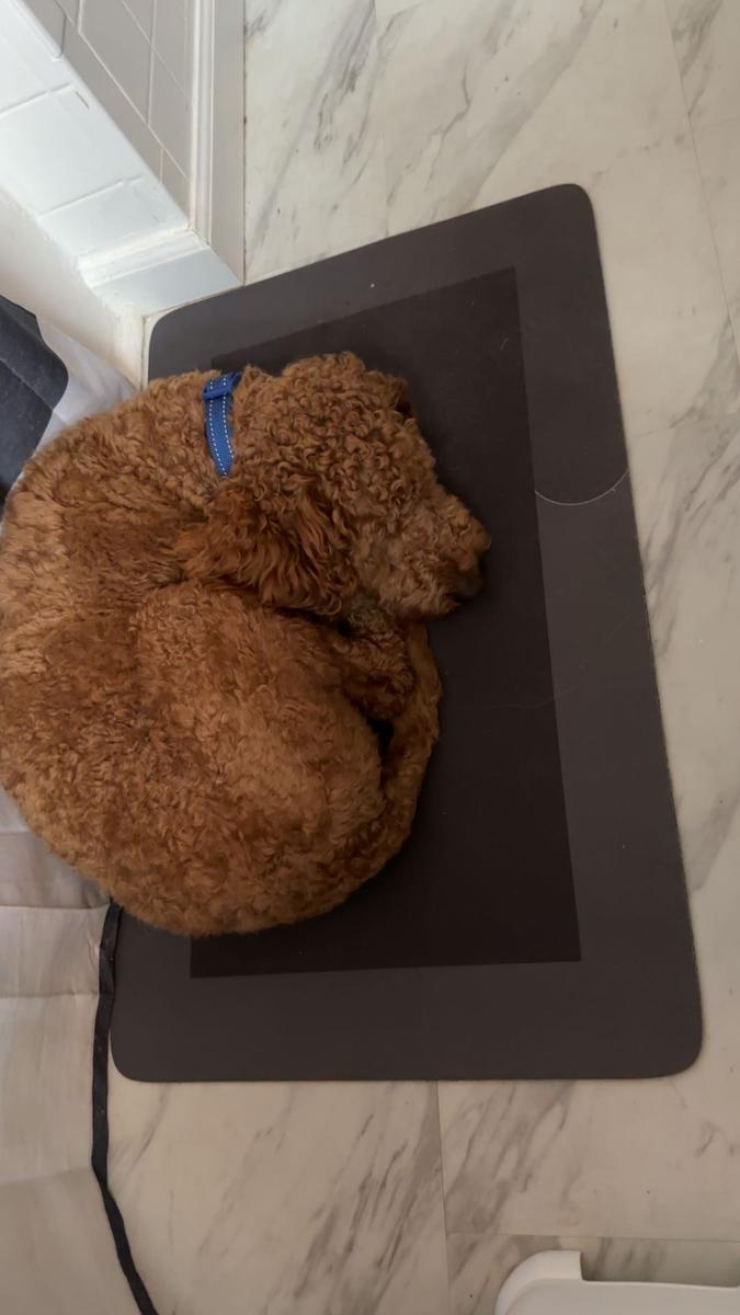 Item: Dark Gray, 23.6x31.4in/50x80cm