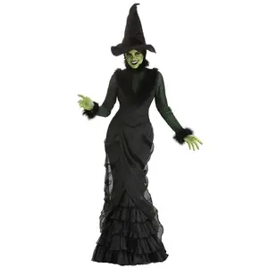 Women's Defiant Wicked Witch Costume