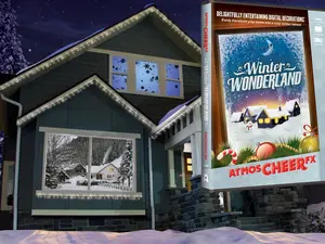 AtmosFX Winter Wonderland Digital Decorations DVD for Winter and Christmas Holiday Projection Decorating