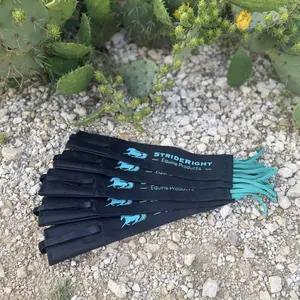 StrideRight Tail Bag