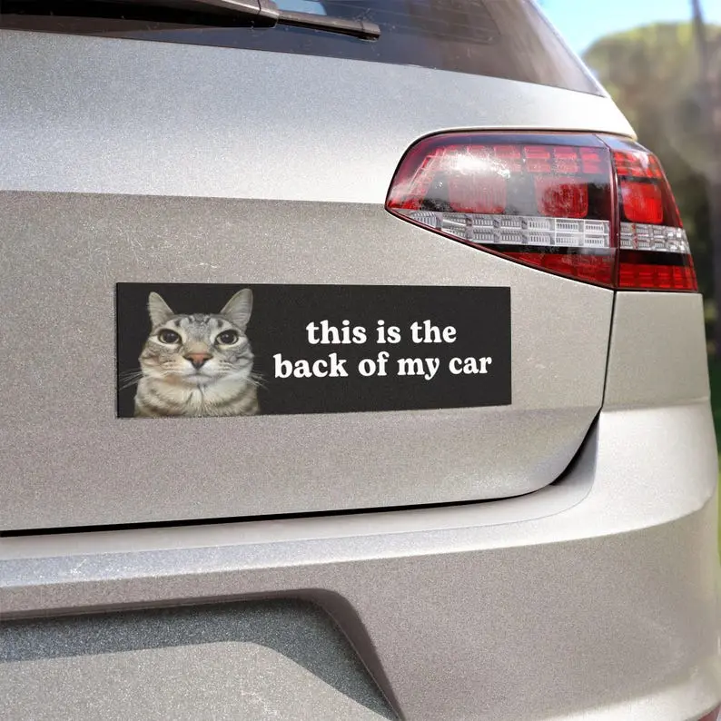 This is the Back of My Car | Car Bumper Magnet | Funny Cat Meme, Black and White, Unhinged, Car Accessory | Waterproof Magnetic Vinyl Decal