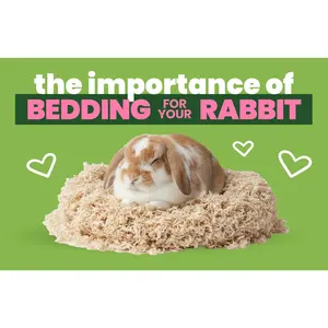 Soft Bunny Bedding for Rabbits