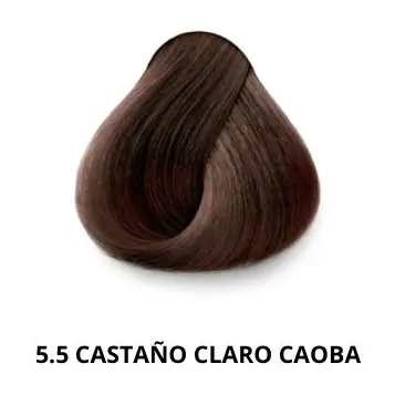 5.5 CASTAÑO CLARO CAOBA