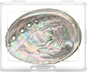 Large Abalone Shell Bowl with a Clear Box 4.7-5.12 Inch Natural Smudge Bowl for Sage Burning and Incense Sea Shell Smudging Bowl for Decor and Display