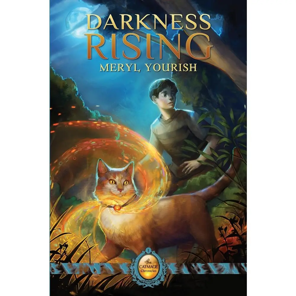 USED Book - Darkness Rising: Book One of The Catmage Chronicles by Yourish, Meryl (Paperback) - english