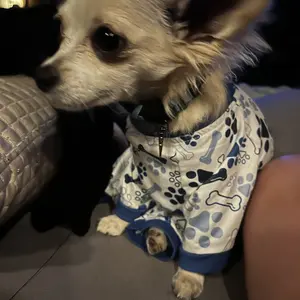 Cartoon Print Pet Pajama, 1 Count Cute Comfortable Pet Sleepwear, Pet Clothes for Small and Medium-sized Dogs and Cats, Dog & Cat Clothing