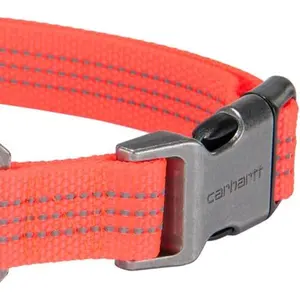 Fully Adjustable Nylon Webbing Collars for Dogs, Reflective Stitching for Visibility, Coral Glow (Nylon Webbing), Medium