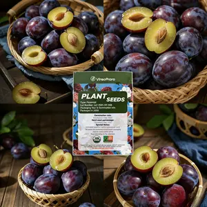 Plum seeds, non-GMO fruit seeds, suitable for potted plants, indoor and outdoor gardens, easy to grow