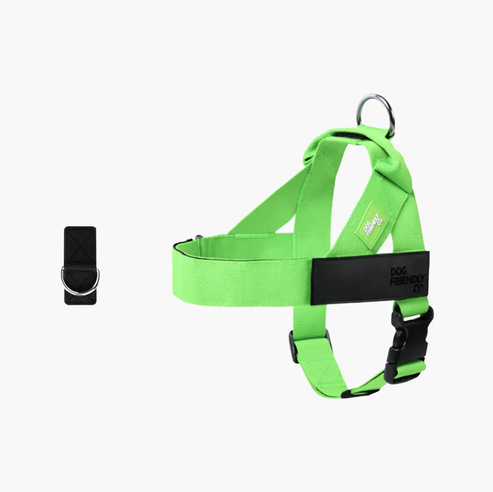 Neon Green