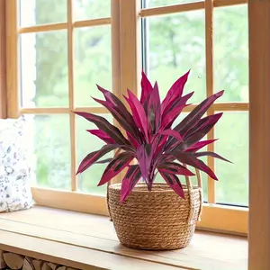 Realistic Dragon Blood Tree artificial plant with bright pink to purple-red leaves, suitable for home, wedding, office, hotel - no watering required, durable plastic material, Home Decor Accessory