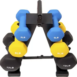Calisthenics Training Dumbbell (Set with Rack)