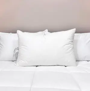 Downlite 75/25 Waterfowl Feather/ White Down Pillow