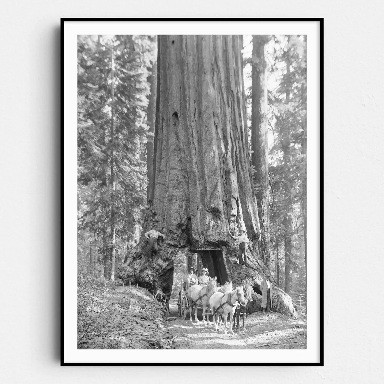 Trendy Poster-Riding Through Wawona Tunnel Tree, Yosemite Forest Nature Wall Art Poster Print Decor Room Colorful Gifts Decoration Ornaments