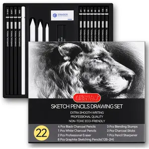 Drawing Sketching Pencil Set, 22 count Pro Art Pencil Kit - Graphite Pencils (12B-2H), Black and White Charcoal Pencils, Charcoal Sticks, Stumps, Eraser, Sharpeners