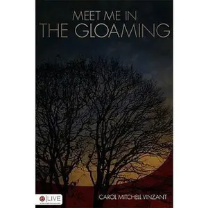 USED-Meet Me in the Gloaming by Carol Mitchell Vinzant (Paperback)