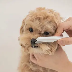 Keep your pet's fur healthy and shiny with this 1-piece dog and cat comb! Deshedding Tool