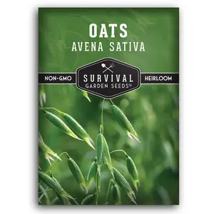 Oat Seeds - Avena sativa