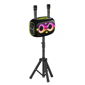 120W Portable Wireless Waterproof Party Box Bluetooth Karaoke Stereo Audio Speaker with Two Microphones and a Tripod