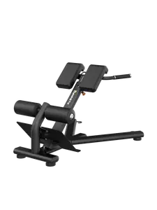 45 Degree Hyperextension/ Back Extension DRE6010