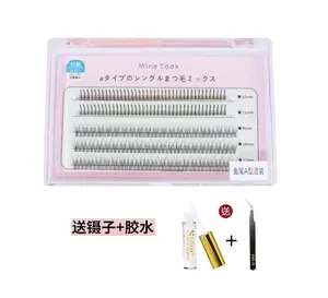Mine Took Segmenled Eyelashes 2 style Makeup Eyelash Extensions Eyelash Extension Cosmetic Eyelash Extension Eyelashes Extensions eyelash  kit