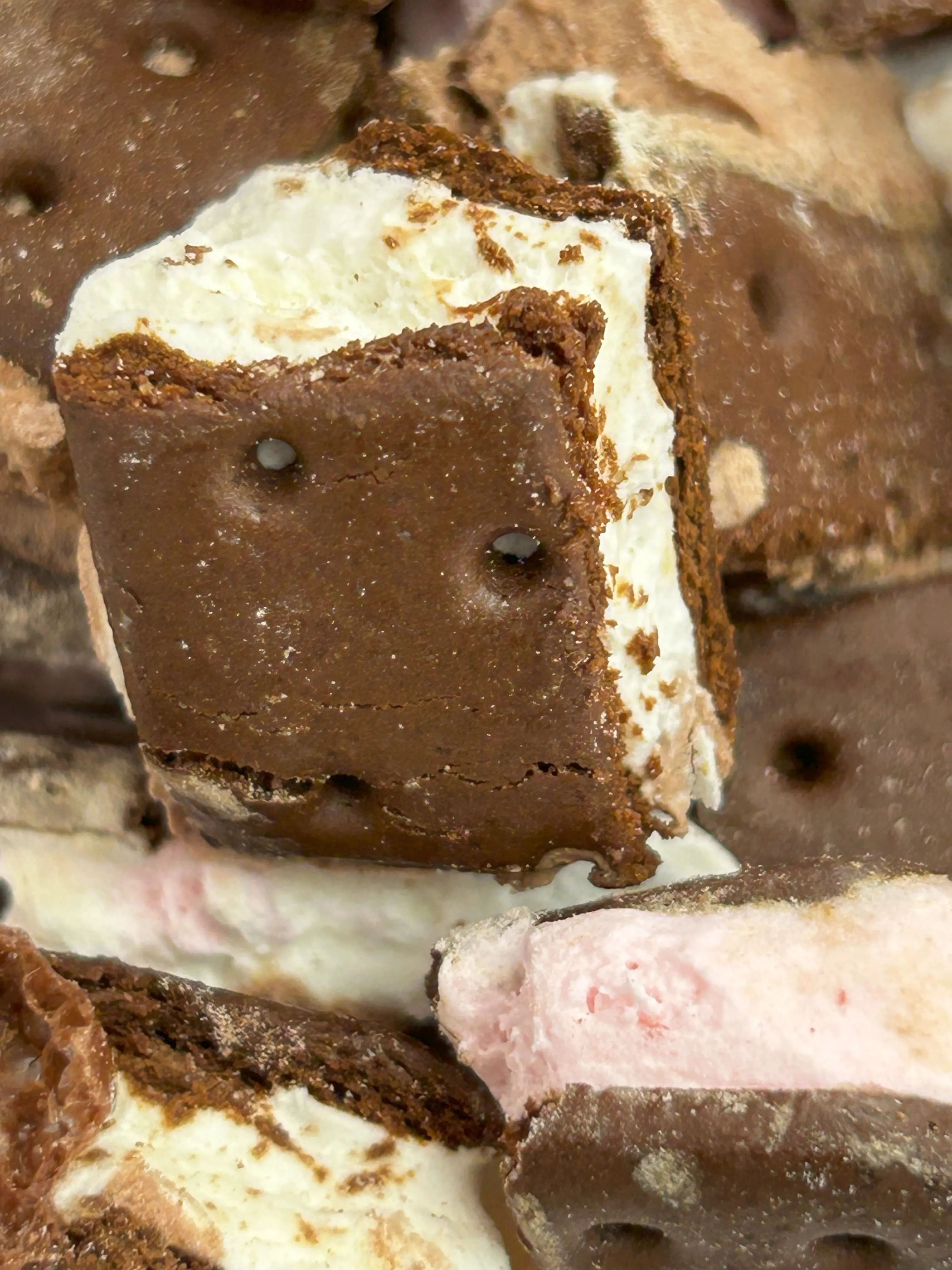 Freeze Dried Neapolitan Sandwiches