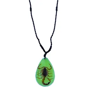 Real Insect Brown Scorpion Acrylic Necklace