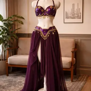 Belly Dance Costume Purple Gold | Egyptian Dance Outfit | Chiffon Skirt Coin Belt Set | Performance Costume | Festival Dance Wear