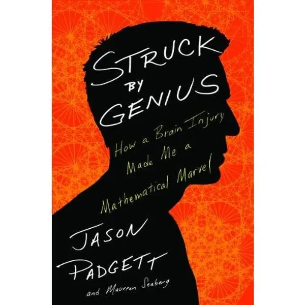 USED-Struck By Genius: How A Brain Injury Made Me A Mathematical Marve by Maureen Seaberg (Paperback)