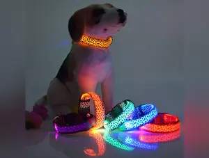 Leopard Collar Led Luminous Dog with Luminous Collar Dog Collar Dog Chain Large, Medium and Small Pet Supplies Mixed Batch