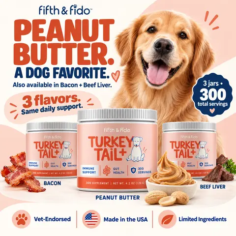 Fifth and Fido Turkey Tail+ Reishi Mushrooms 3-Pack Dog Food Sprinkle Topper, Peanut Butter Flavor, 500mg per Scoop, Supports Immune & Gut Health, USA-Made Dog Health Supplements