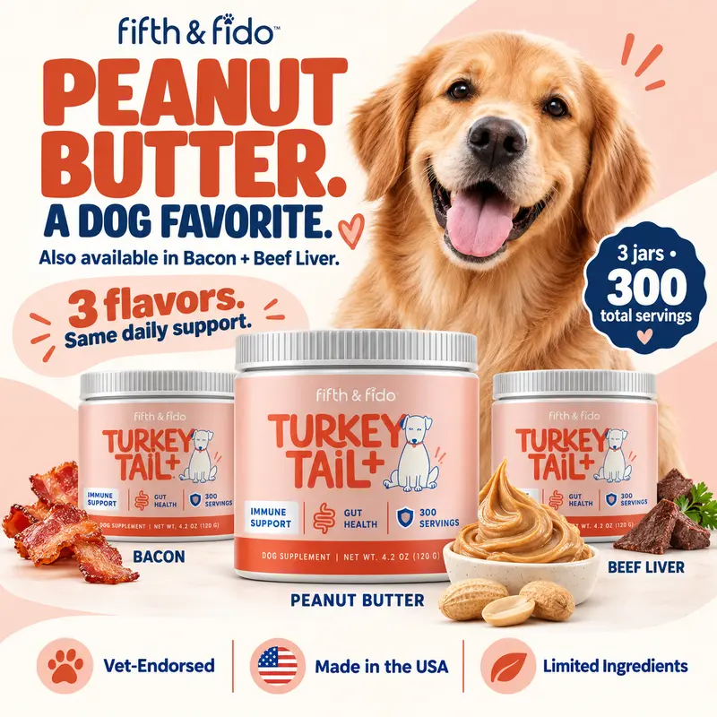 Fifth and Fido Turkey Tail+ Reishi Mushrooms 3-Pack Dog Food Sprinkle Topper, Peanut Butter Flavor, 500mg per Scoop, Supports Immune & Gut Health, USA-Made Dog Health Supplements