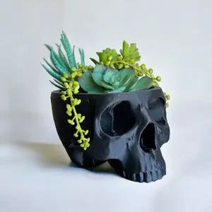 Skull Planter | Small Plant Pot | Halloween Decor | Succulent Planter | Gothic Decor | Holes for Handing | Cottagecore | 3D Printed