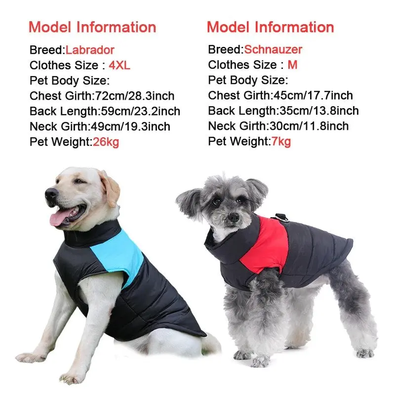 Waterproof Winter Dog Coat – Warm, Windproof, All Sizes