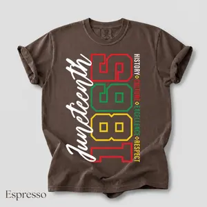 Comfort Colors Juneteenth 1865 T-Shirt, African American Tee, Afro American Pride Gift, Black History Celebration Top