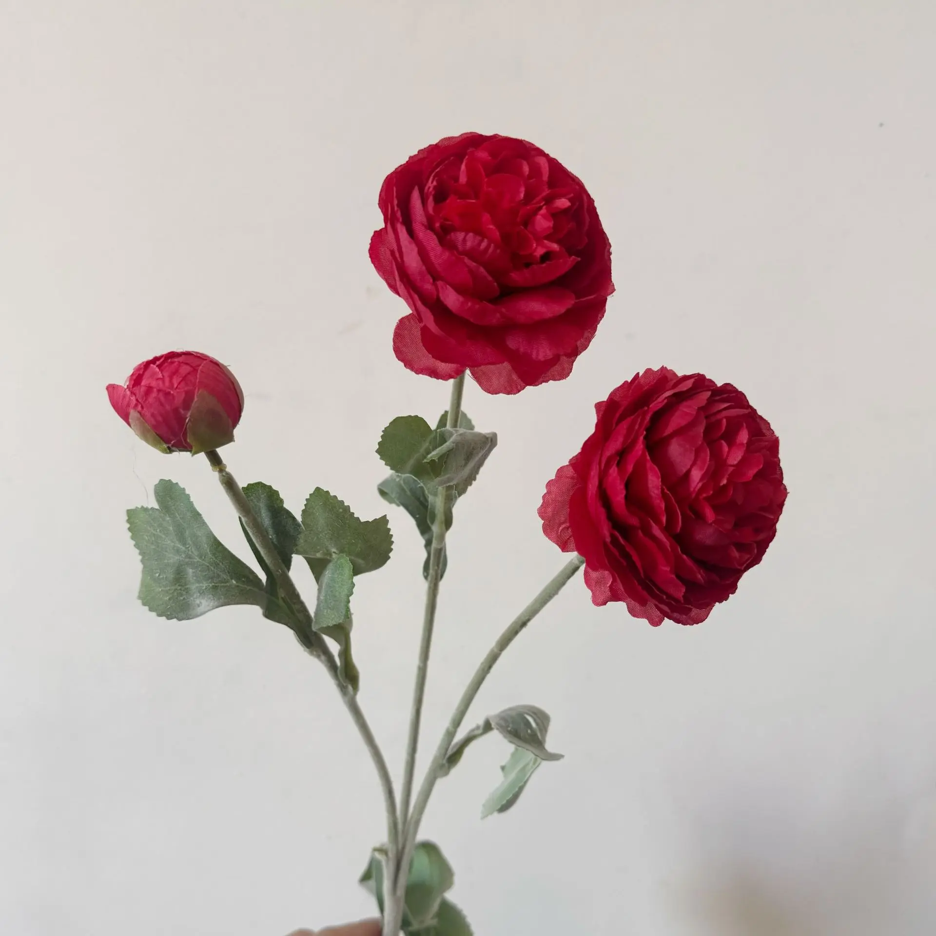 10 bright red flowers