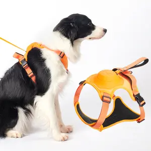 Medium sized Dog Harness with retractable leash