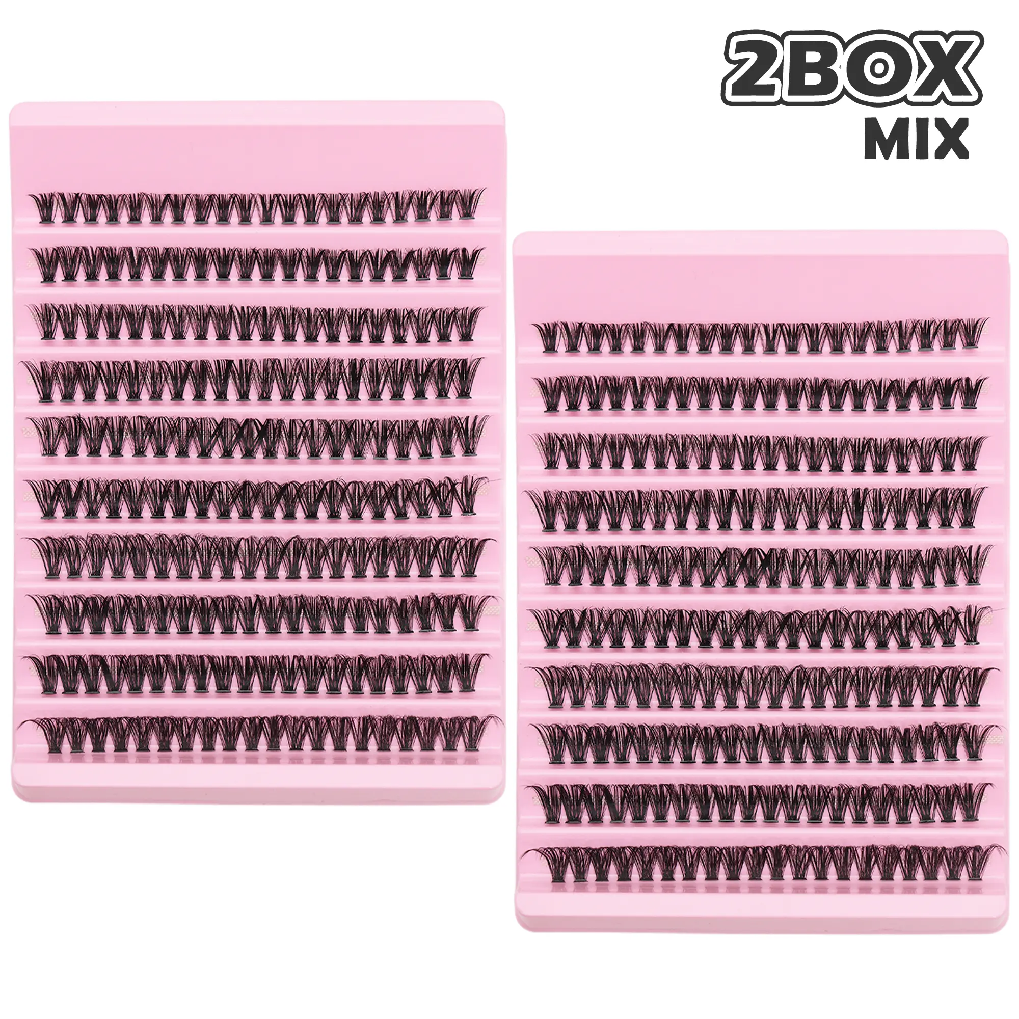 40D MIX - 2 Boxes