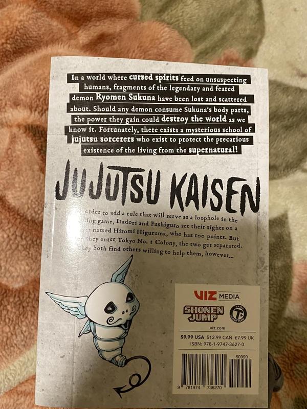 Jujutsu Kaisen, Vol. 19 Paperback – March 21, 2023