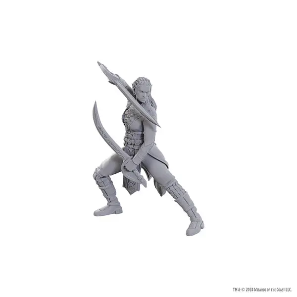 D&D Nolzur's Marvelous Miniatures: Special Edition Baldur's Gate 3- Jaheira & Halsin