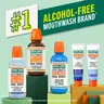 TheraBreath Mouthwash and Toothpaste Bundle | Icy Mint, Whitening Oil, Gum Care