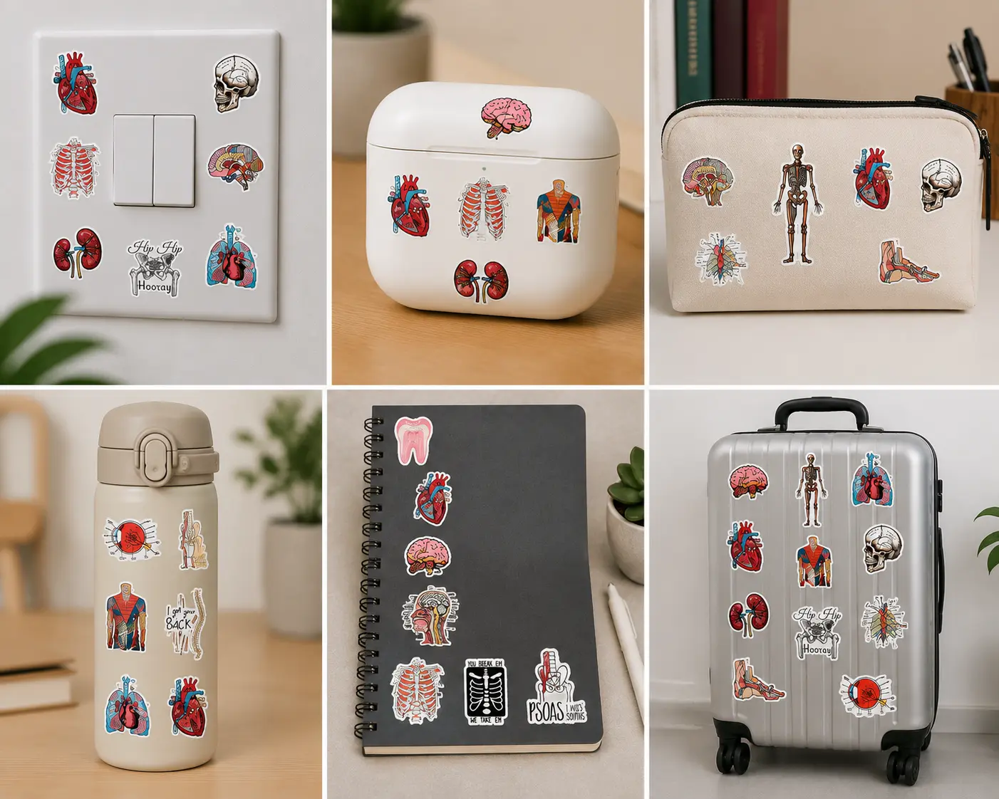 50 Cartoon Anatomy Stickers | EMT Student Study Decals | Medical Notebook Laptop Water Bottle Stickers
