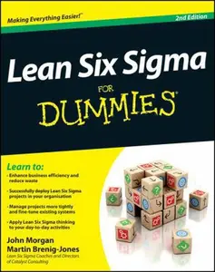 USED Book - Lean Six Sigma for Dummies by John Morgan (Paperback) - english