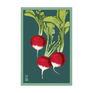 Radish Vegetable Seeds Packet