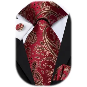 Hi-Tie Paisley Floral Ties Set for Men Silk Mens Stripes Necktie Pocket Square Cufflinks Set Formal Business